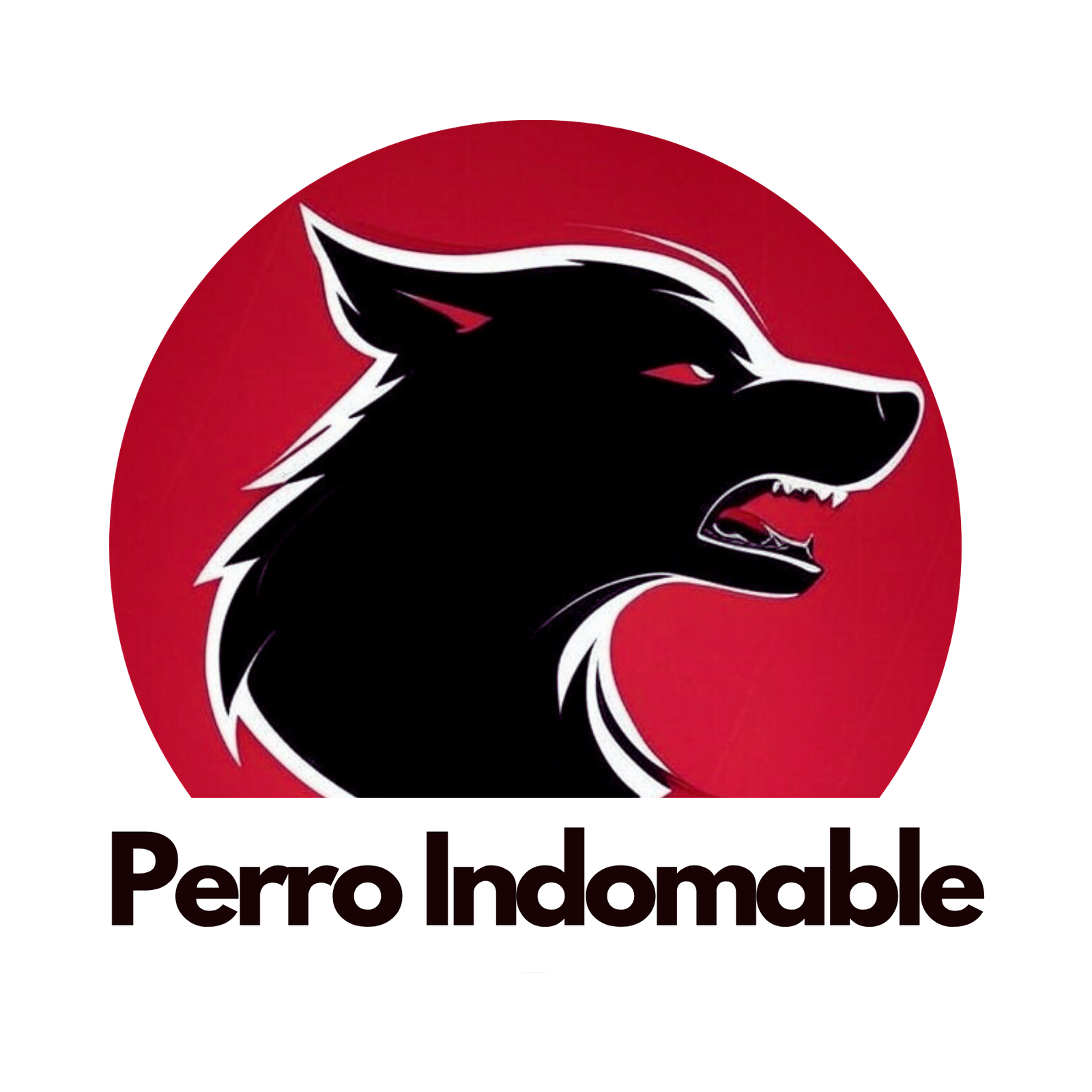 Asesoría Legal y Rehabilitación