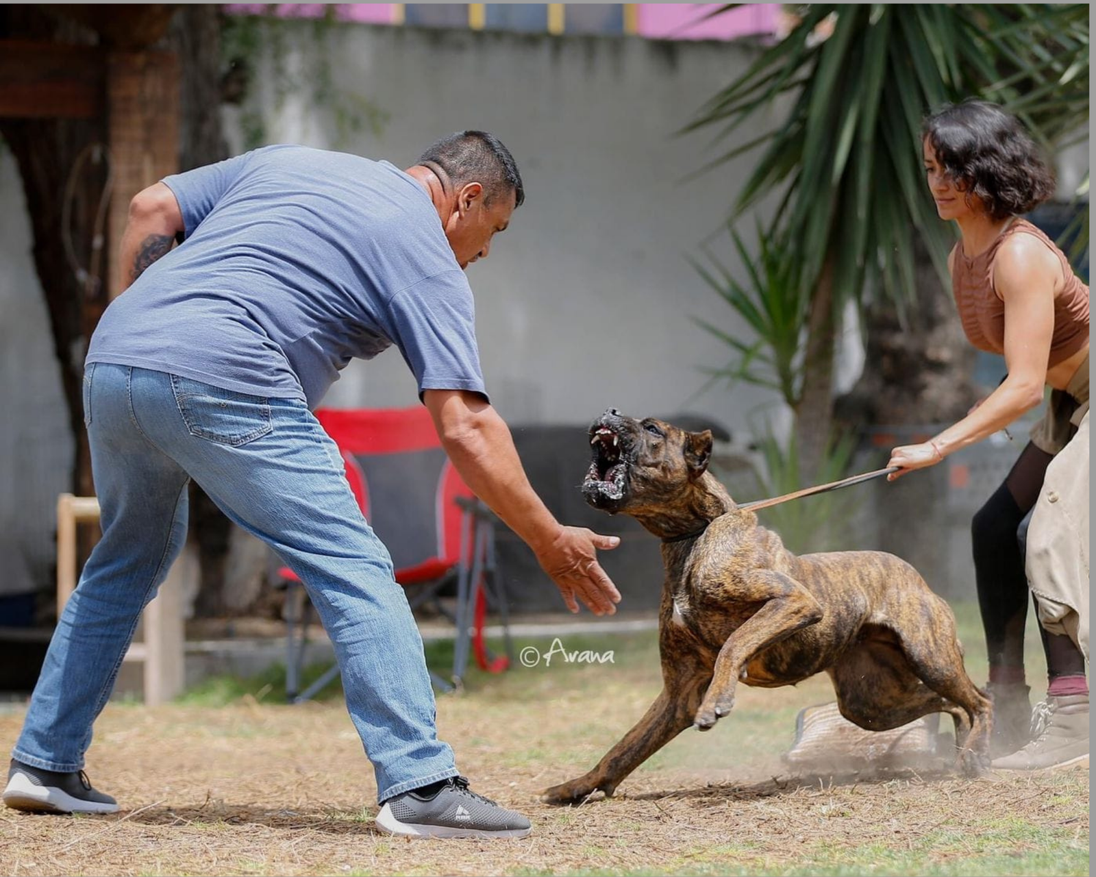 Edgar Montesinos Blanco